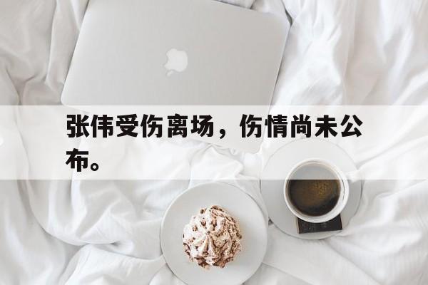 九游游戏中心官网注册账号-张伟受伤离场，伤情尚未公布。